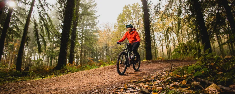 MTB rider on a trail in autumn