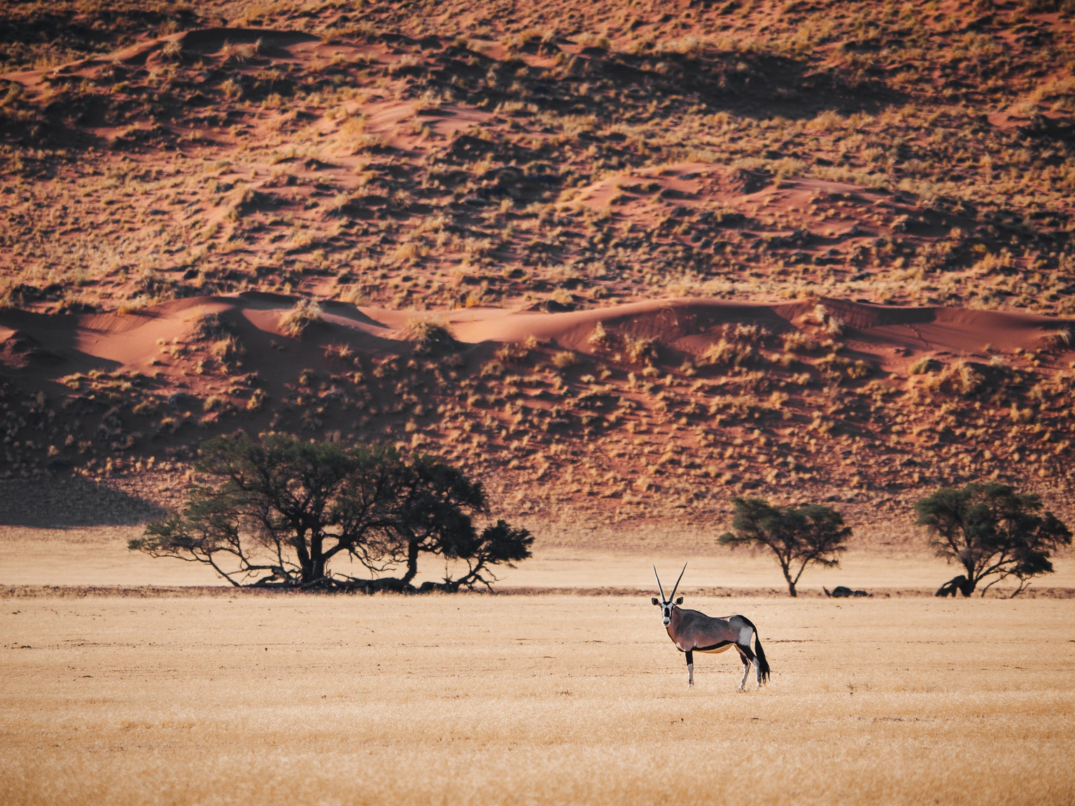 Deserts