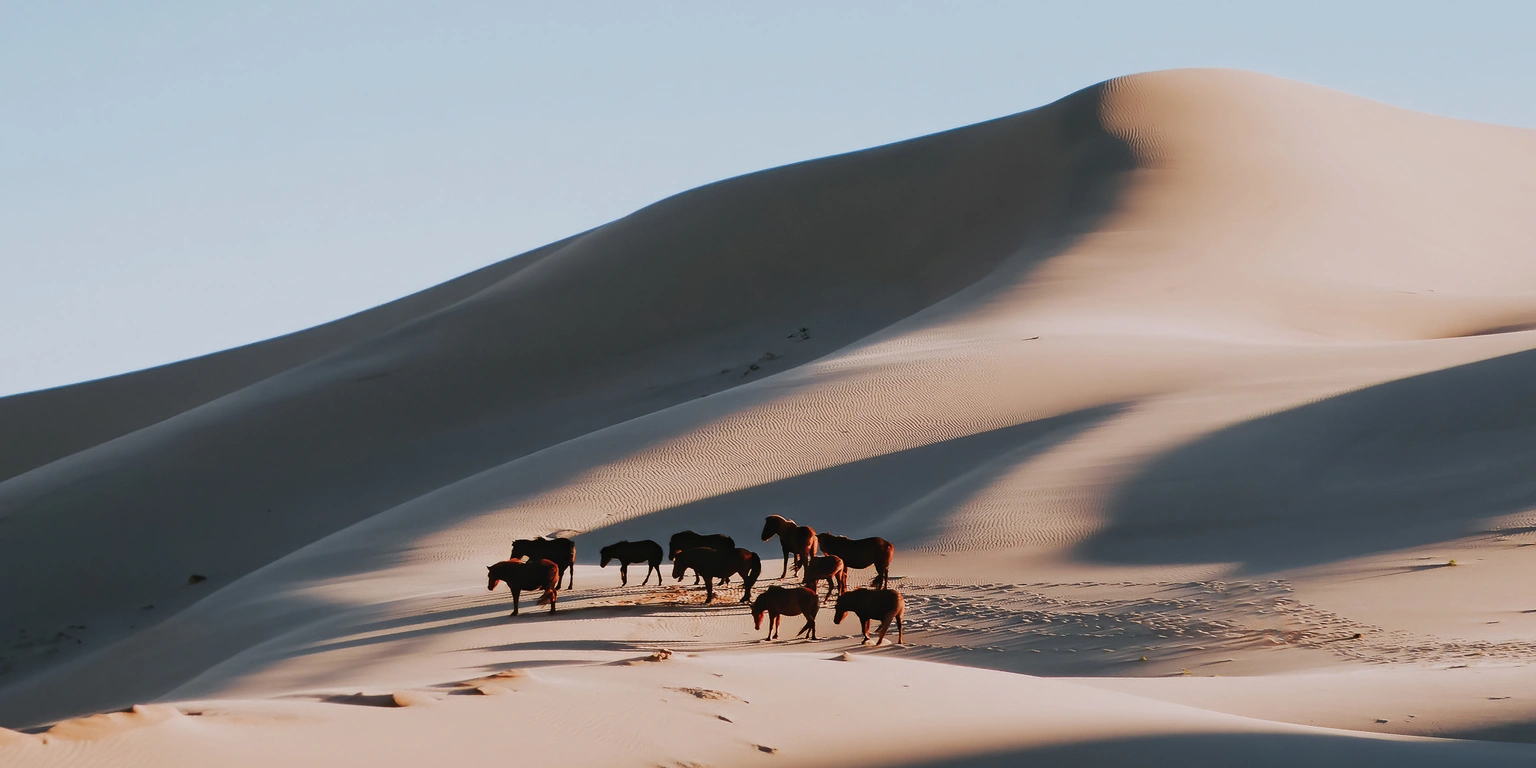 Deserts