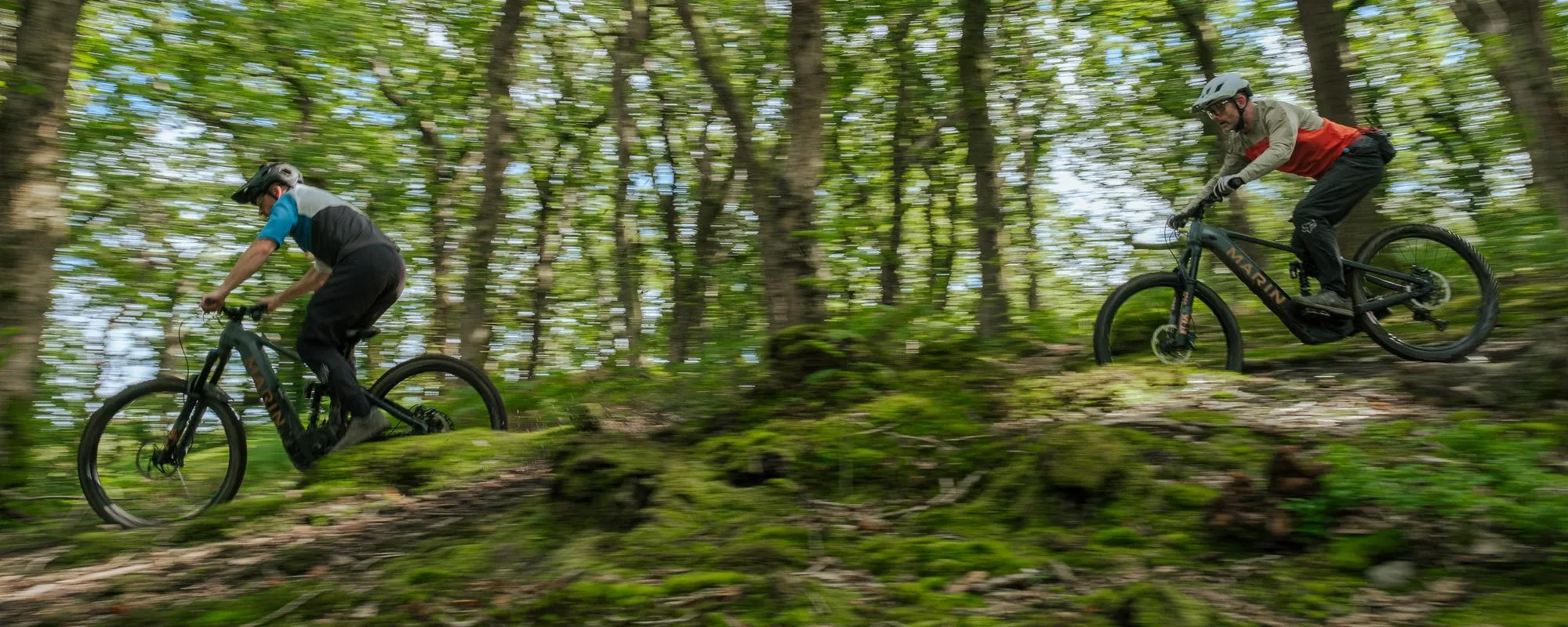 Riders on Marin e-mountain bikes 