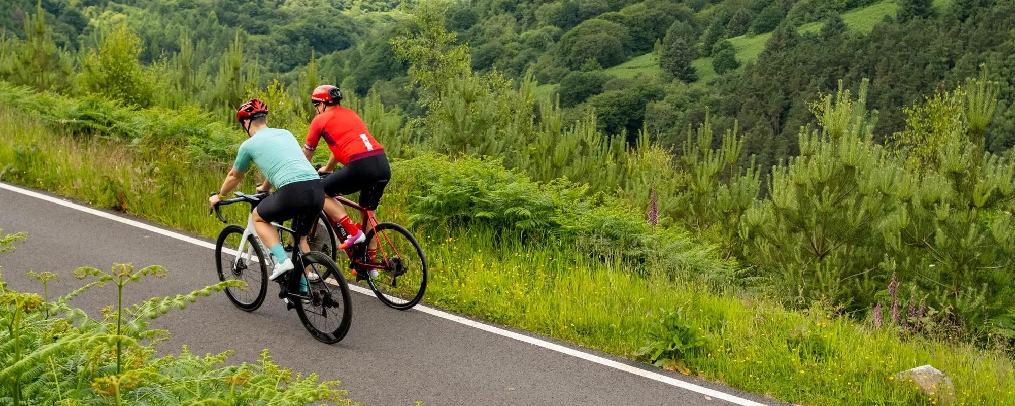 two road cyclist climbing seated in the saddle