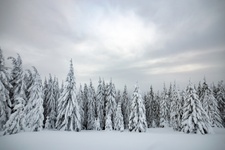 Järkeistä vanhat lainat tai hae uutta lainaa heti