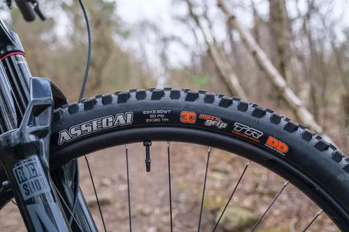 maxxis tubeless tyre 