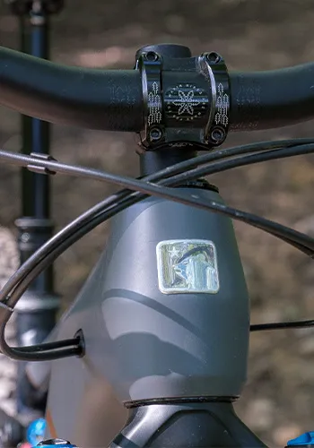 Marin Alpine Trail E  headtube detail