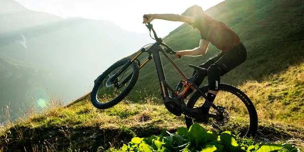 Orbea Wild M10 2025 - Electric Mountain Bike