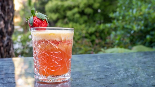 Fruity Christmas Punch
