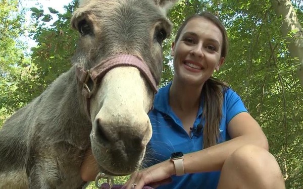 A close up photo of Sherman the donkey's face. He has brown fur and a white muzzle. A woman poses next to him.
