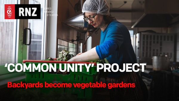 Video thumbnail for Backyard farms in Hutt valley see soaring demand for produce