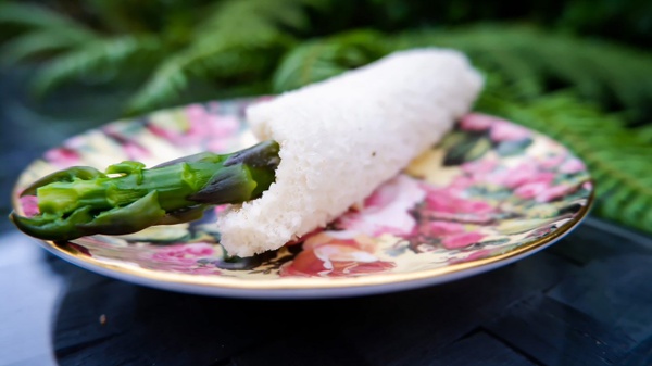 Fresh Asparagus Rolls
