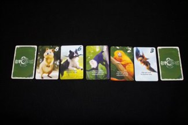 Photo of Flipology in play.