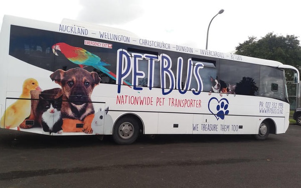 Photo of a bus with Pet Bus written in large letters and pictures of a puppy, kitten, duckling, rabbit and parrot on the side