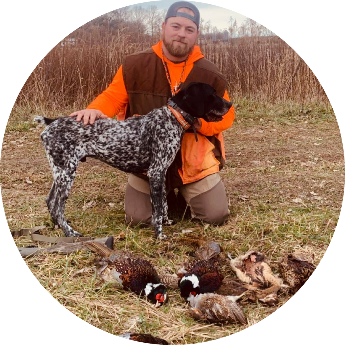 Ruger Wood Hunting Dog