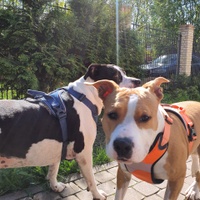 Так спокойно мы ещё ни разу не отдыхали!