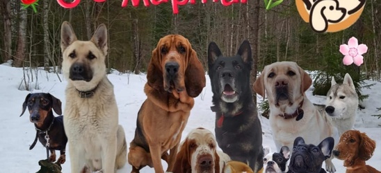 Pluto's Club поздравляет всех женщин с 8 марта!