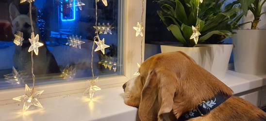 С Новым Годом!