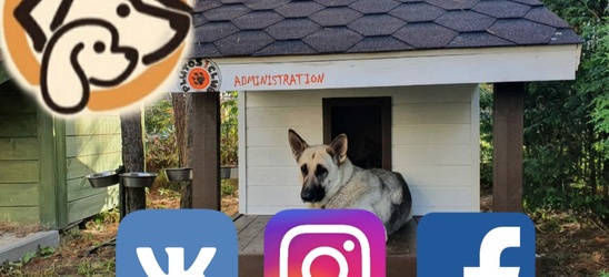 Наш ЗооОтель в Соц.сетях