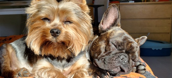 Бронирование номеров на сайте невозможно!