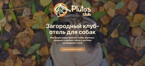 Запущен сайт Pluto`s Club