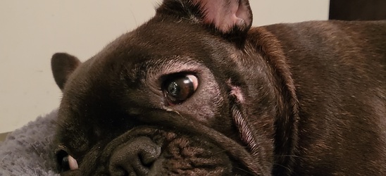 Изменение цены на проживание в доме!