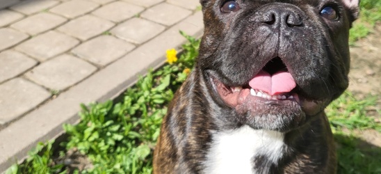 Наш Телеграмм канал!