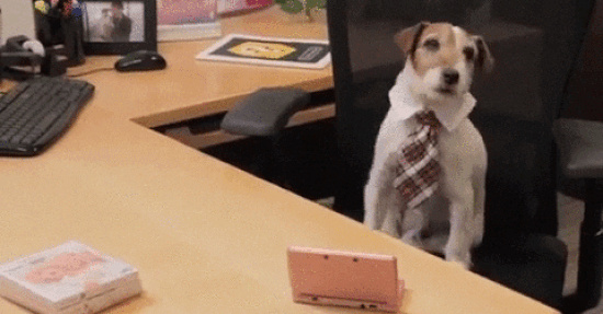 GIF: Moderner Arbeitsplatz