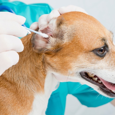 Чистка ушей