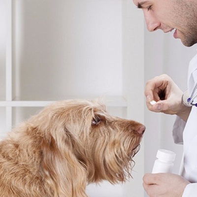 Обработка от глистов