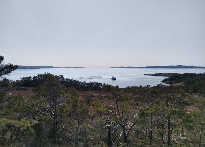Storaneset (Langaneset)