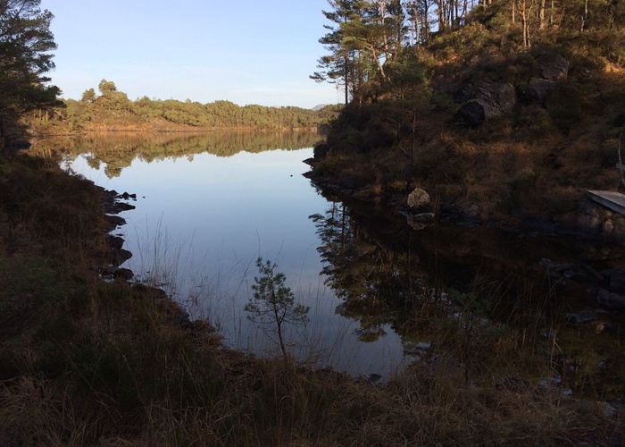 Sølvrusteklubben