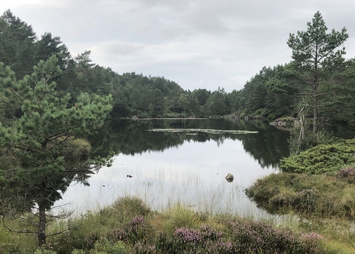 Hatlebærvatnet