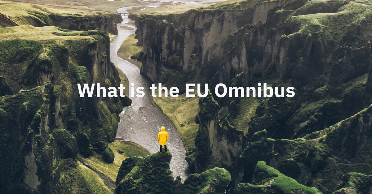 EU Omnibus 2025 | Impact on CSRD, CSDDD, CBAM and EUTaxonomy