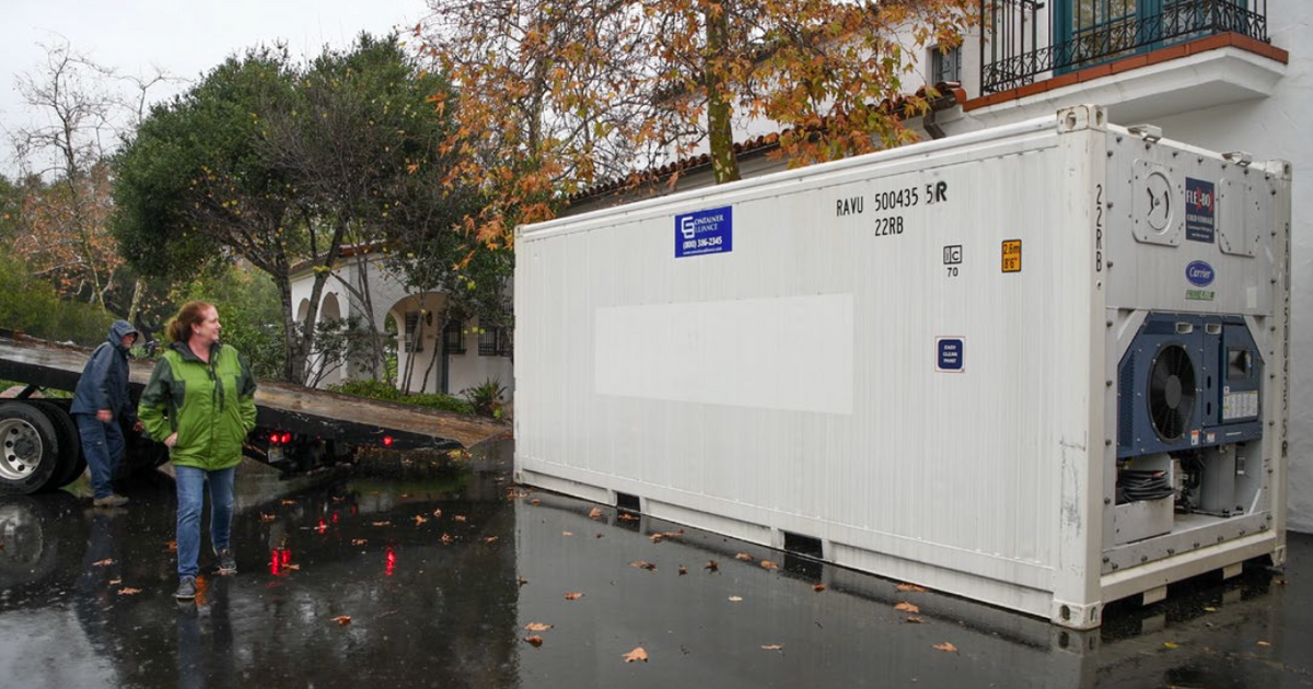 natural-history-20ft-container.png