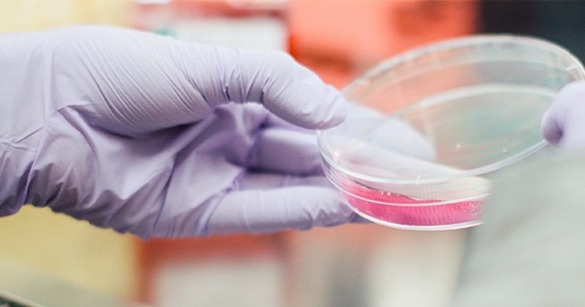 Laboratory Technician Salary in NZ (August, 2024) SEEK