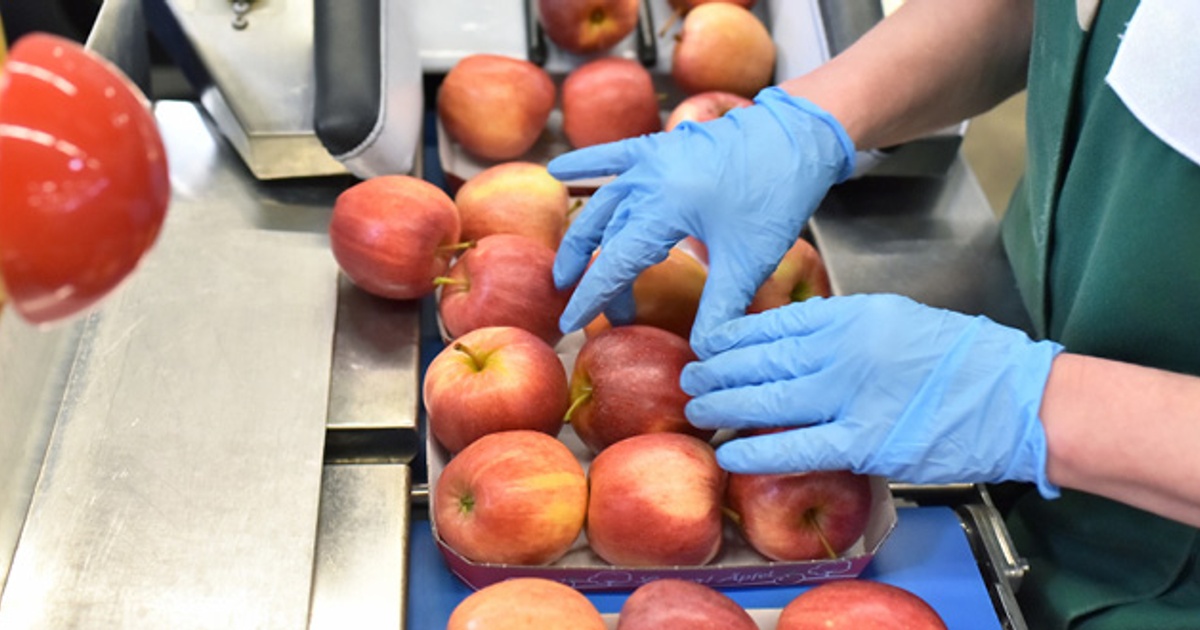 How to a Production Operator Skills & Job Description SEEK