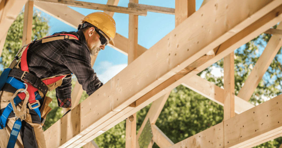 Builder Salary in NZ (October, 2024) SEEK