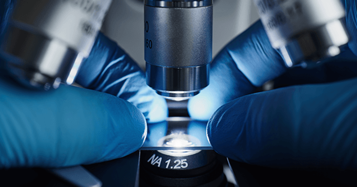 Microbiologist Salary in SG (August, 2024) Jobstreet