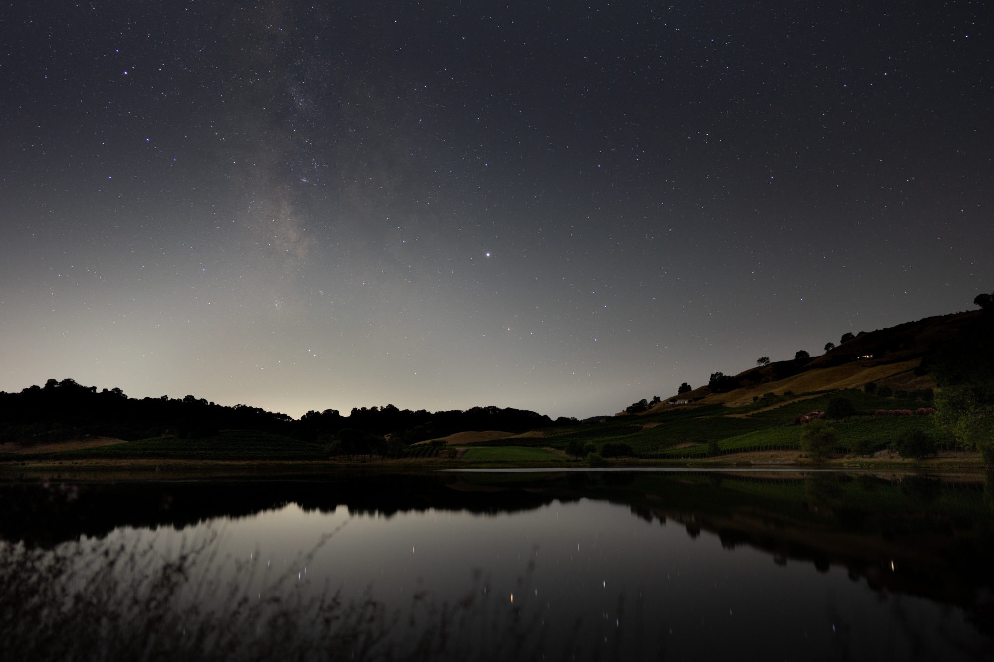 The heaven's above reflecting stars onto the pond at night, in the vineyard.