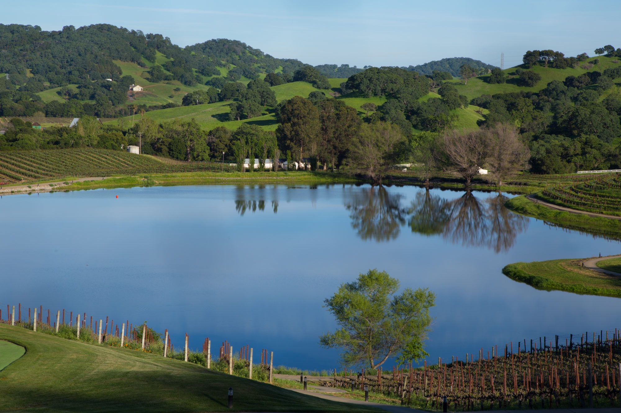 A view of the pond surrounded by lush, green hills.