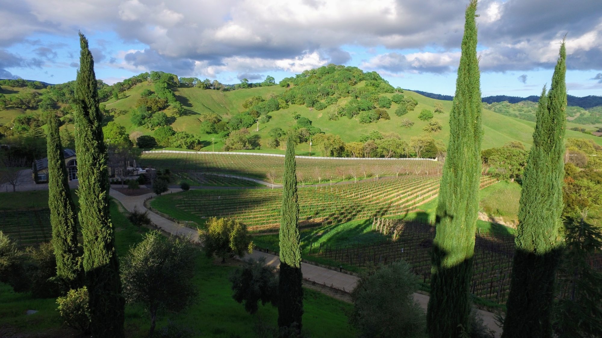 to Hestan Vineyards Hestan Vineyards