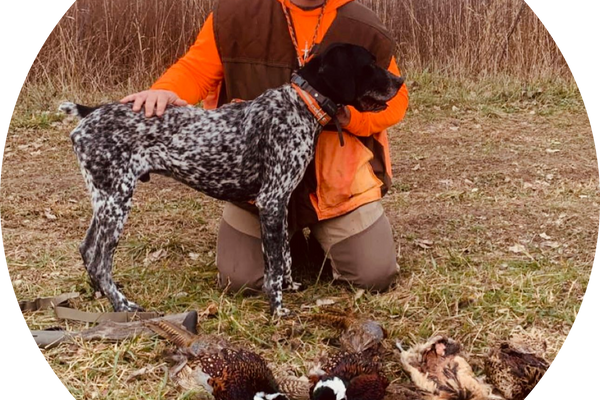 Ruger Wood Hunting Dog