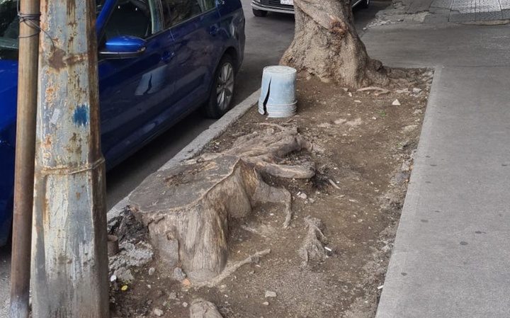 cover para el post La movilidad activa y el espacio público desde la mirada de la sustentabilidad urbana