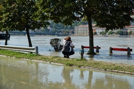 Beöntött a pincédbe, lakásodba az árvíz? Mutatjuk, hogy fertőtleníts!