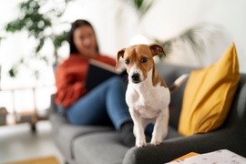 10 kérdés, amit egy potenciális albérlőnek érdemes feltenni