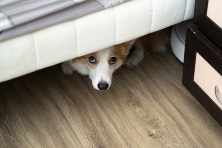 Mi van az ágy alatt? – 6 tárolási tipp, hogy több hely legyen a hálószobában