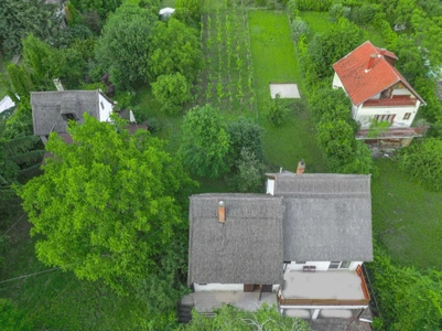 Ilyen békét nyújt egy szőlőlugas az ország legkülönösebb helyein