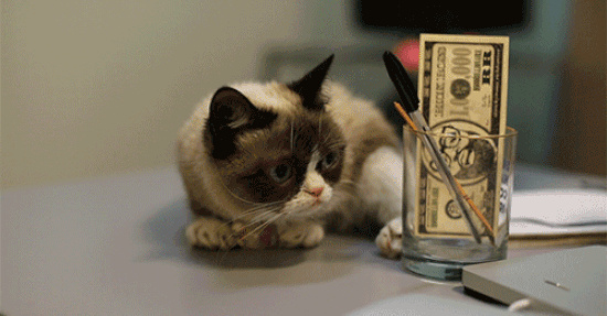Grumpy Cat und ihr Geld