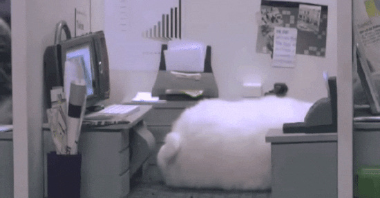bunny_falling_asleep_at_computer