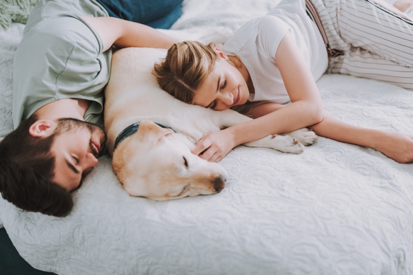 Tényleg jó ötlet felengedni a kutyát az ágyra? 