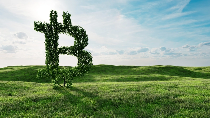 blockchain sustainability