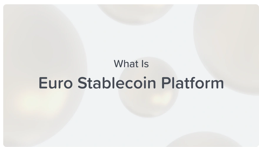 what is euro stablecoin platform